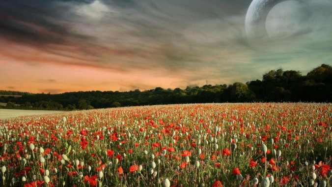 华为 HDC 发布 HarmonyOS 6 开发者 beta 版对应用开发者和鸿蒙生态有哪些影响？